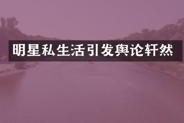 明星私生活引发舆论轩然