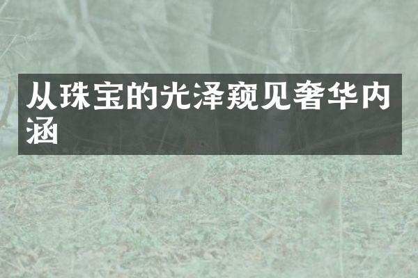 从珠宝的光泽窥见奢华内涵