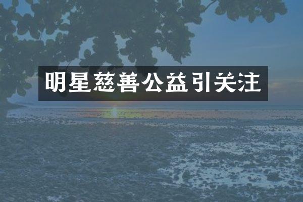 明星慈善公益引关注