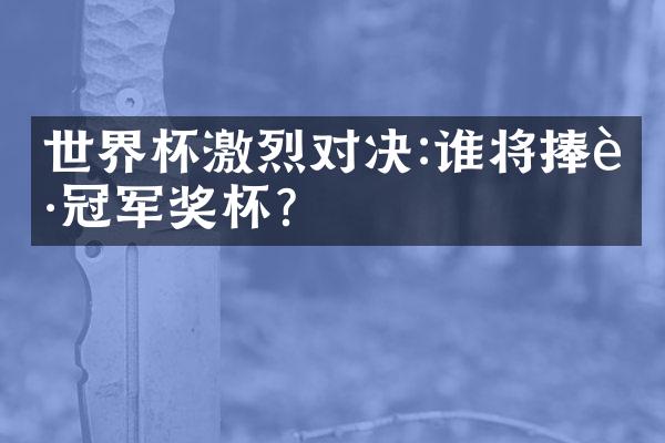 世界杯激烈对决:谁将捧起冠军奖杯?