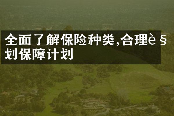 全面了解保险种类,合理规划保障计划