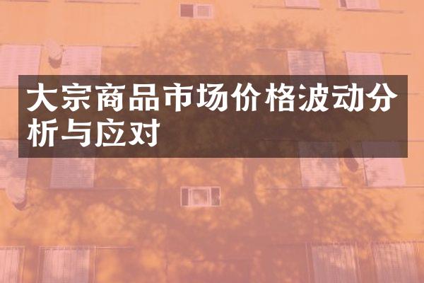 大宗商品市场价格波动分析与应对