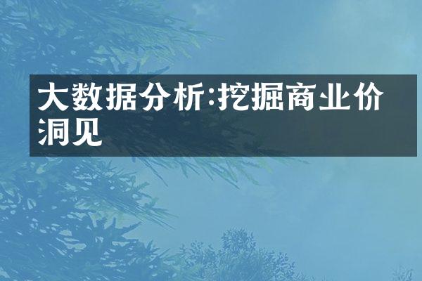 大数据分析:挖掘商业价值洞见