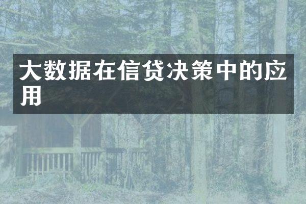 大数据在信贷决策中的应用