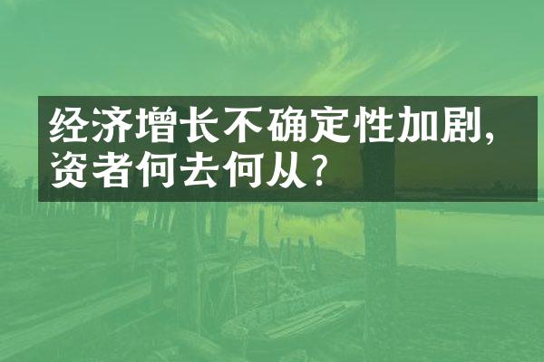 经济增长不确定性加剧,投资者何去何从?