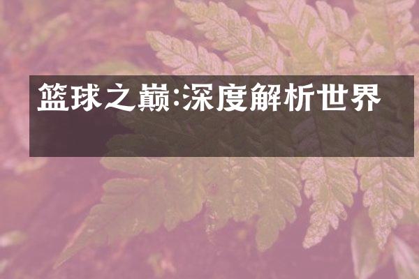 篮球之巅:深度解析世界杯