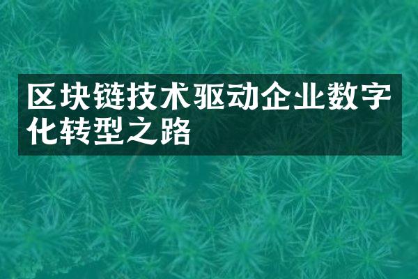 区块链技术驱动企业数字化转型之路