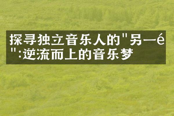 探寻独立音乐人的"另一面":逆流而上的音乐梦