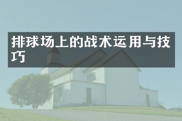 排球场上的战术运用与技巧