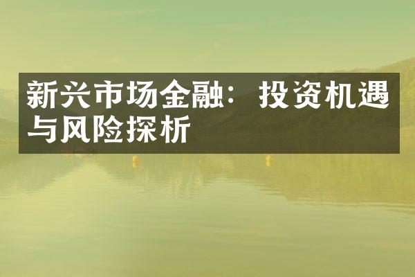 新兴市场金融：投资机遇与风险探析