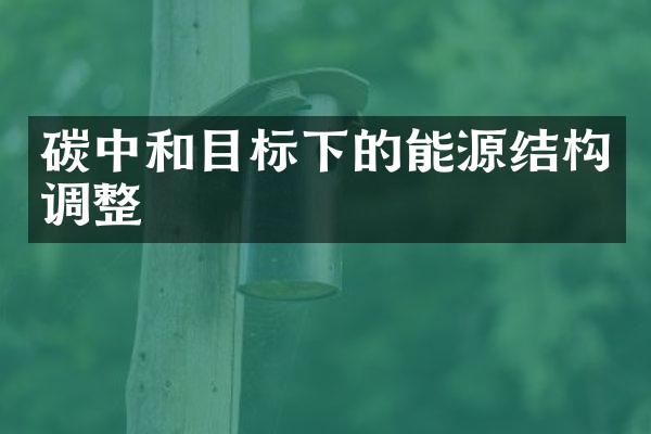 碳中和目标下的能源结构调整