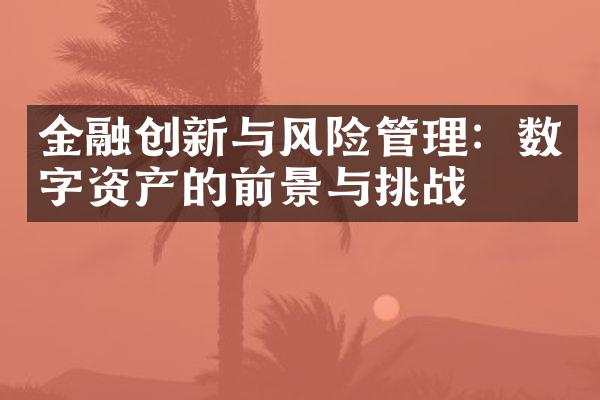 金融创新与风险管理：数字资产的前景与挑战