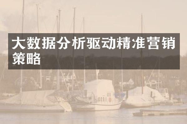 大数据分析驱动精准营销策略