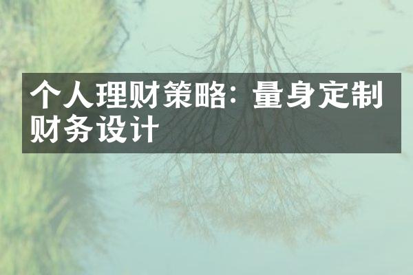 个人理财策略: 量身定制的财务设计