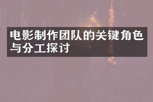 电影制作团队的关键角色与分工探讨