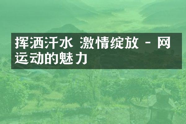 挥洒汗水 激情绽放 - 网球运动的魅力