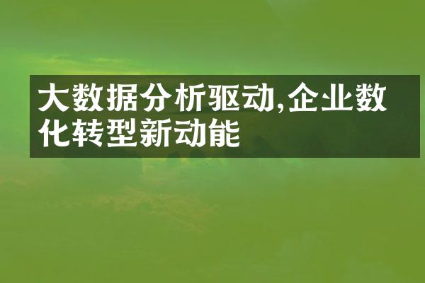 大数据分析驱动,企业数字化转型新动能