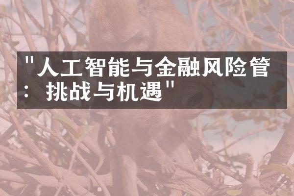 "人工智能与金融风险管理：挑战与机遇"