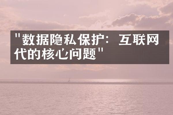 "数据隐私保护：互联网时代的核心问题"