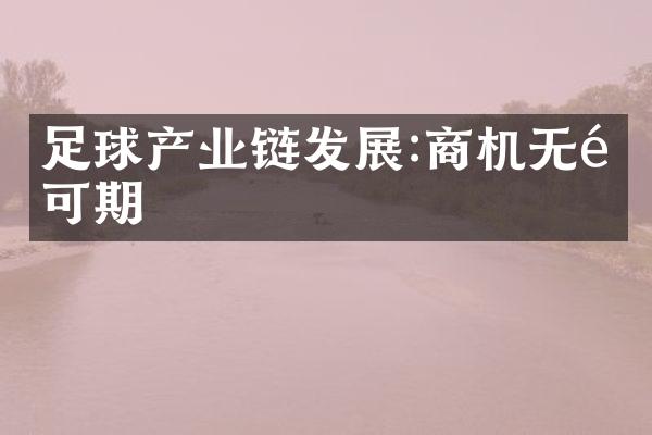 足球产业链发展:商机无限可期