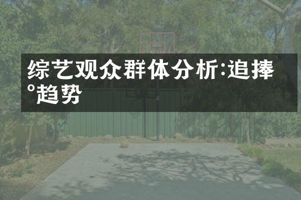 综艺观众群体分析:追捧新趋势