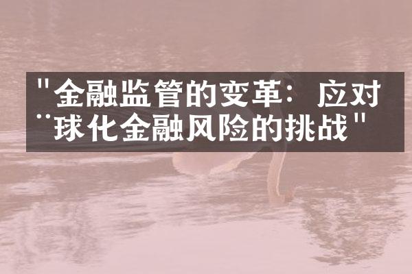 "金融监管的变革：应对全球化金融风险的挑战"