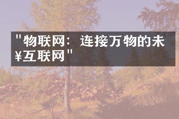 "物联网：连接万物的未来互联网"