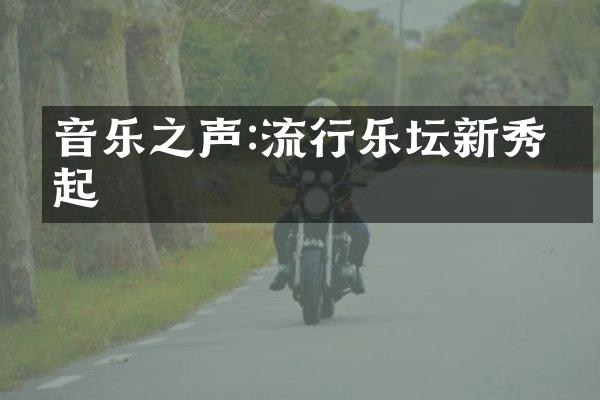 音乐之声:流行乐坛新秀崛起