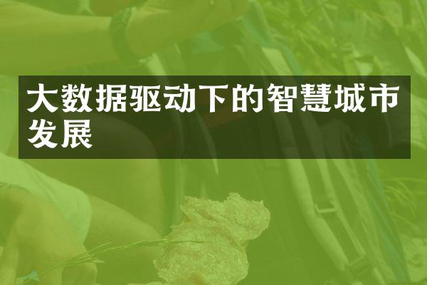 大数据驱动下的智慧城市发展