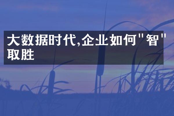 大数据时代,企业如何"智"取胜