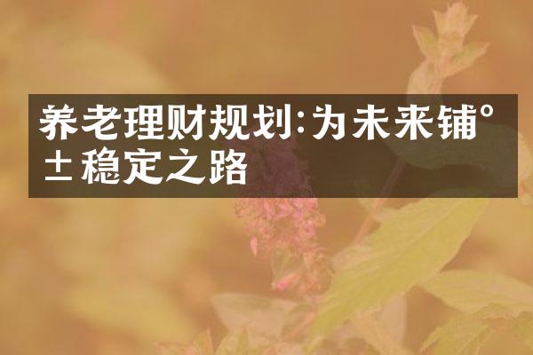 养老理财规划:为未来铺就稳定之路