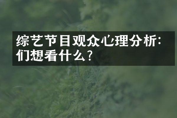 综艺节目观众心理分析:他们想看什么?