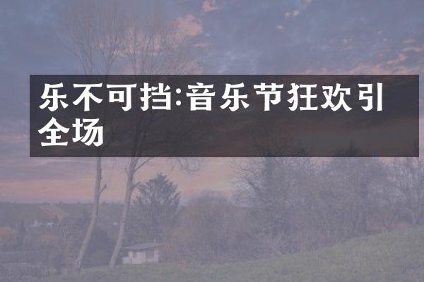 乐不可挡:音乐节狂欢引爆全场