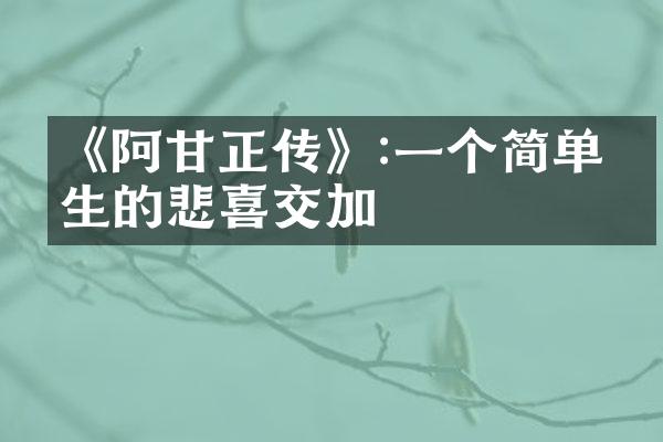 《阿甘正传》:一个简单人生的悲喜交加