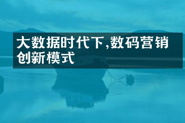 大数据时代下,数码营销的创新模式