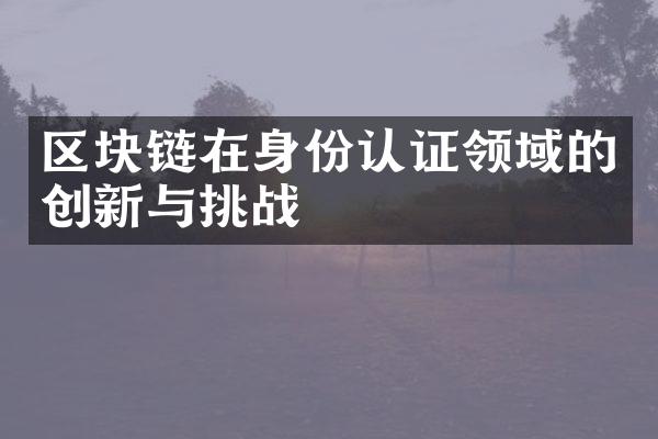 区块链在身份认证领域的创新与挑战