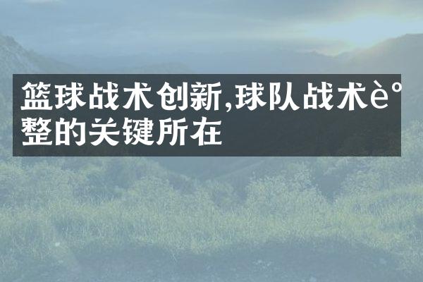 篮球战术创新,球队战术调整的关键所在