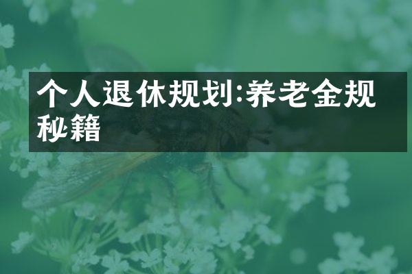 个人退休规划:养老金规划秘籍