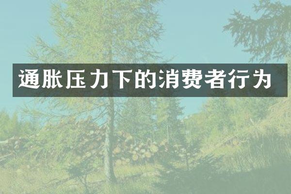 通胀压力下的消费者行为