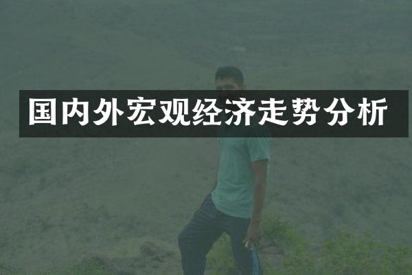 国内外宏观经济走势分析