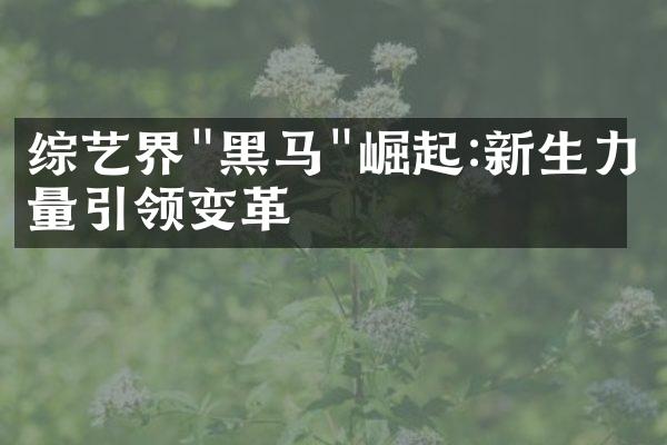 综艺界"黑马"崛起:新生力量引领变革