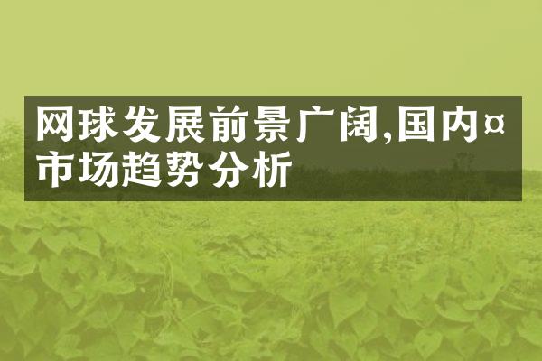 网球发展前景广阔,国内外市场趋势分析