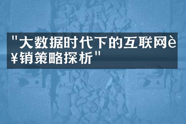 "大数据时代下的互联网营销策略探析"