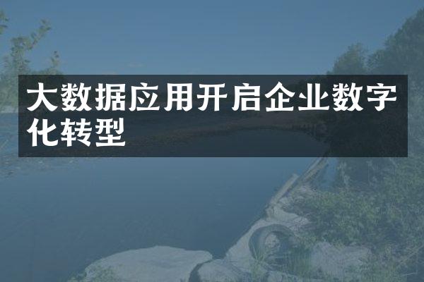 大数据应用开启企业数字化转型