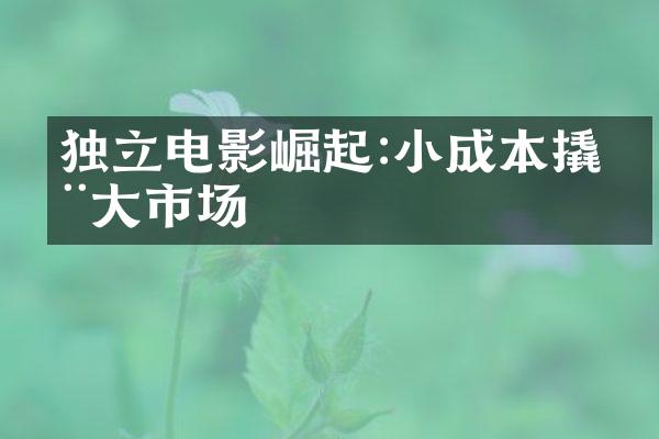 独立电影崛起:小成本撬动大市场