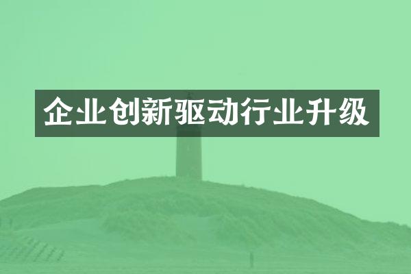 企业创新驱动行业升级