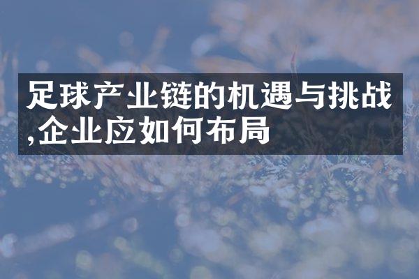 足球产业链的机遇与挑战,企业应如何布局