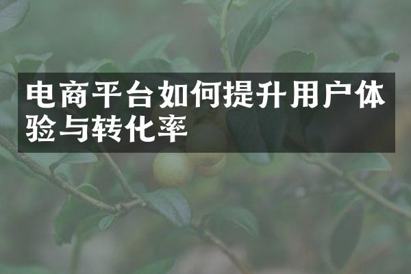 电商平台如何提升用户体验与转化率