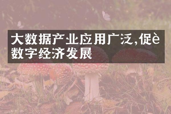 大数据产业应用广泛,促进数字经济发展