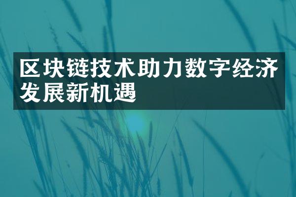 区块链技术助力数字经济发展新机遇